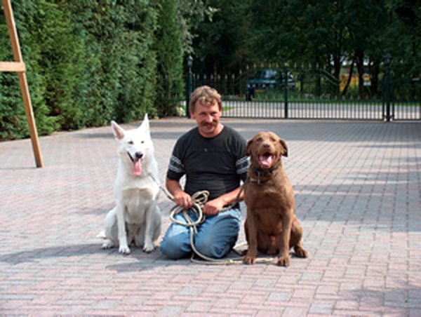 Medewerker van De Open Ruimte met een witte herder en een bruine labrador op het erf van het pension